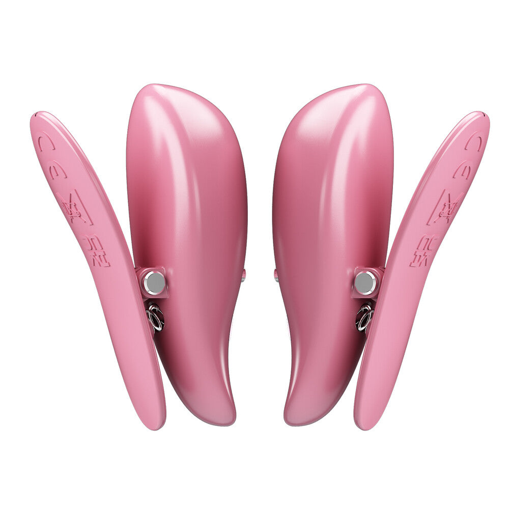 Pinzette Per Capezzoli Vibranti Cayley - Erotika Shop