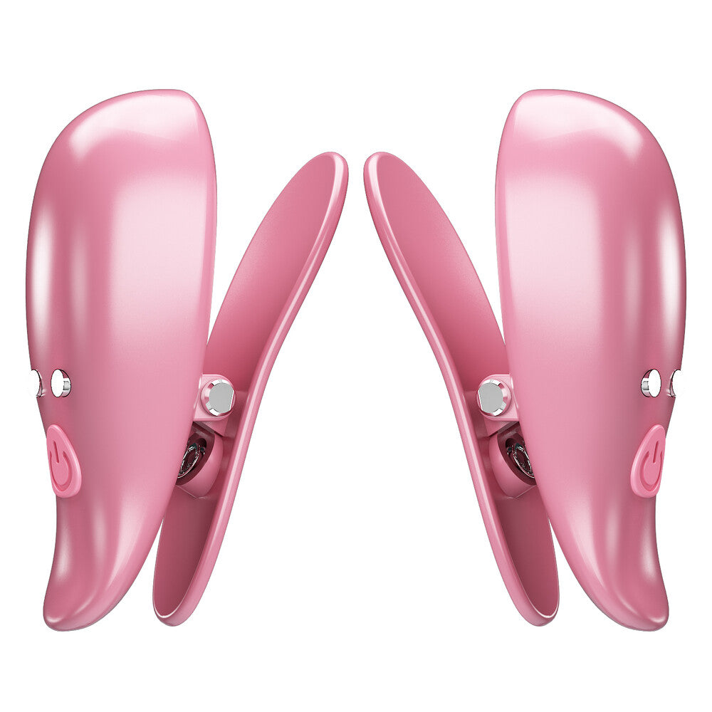 Pinzette Per Capezzoli Vibranti Cayley - Erotika Shop